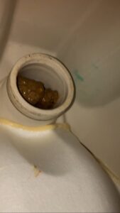 岩槻区 トイレ詰まり 便器脱着