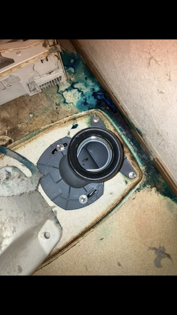 岩槻区 トイレ詰まり 便器脱着